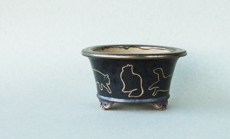 k-054 rund 2004 schwarze Katzen d.jpg