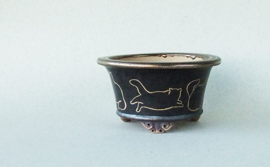 k-054 rund 2004 schwarze Katzen e.jpg