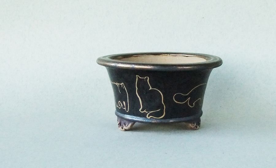 k-054 rund 2004 schwarze Katzen h.jpg