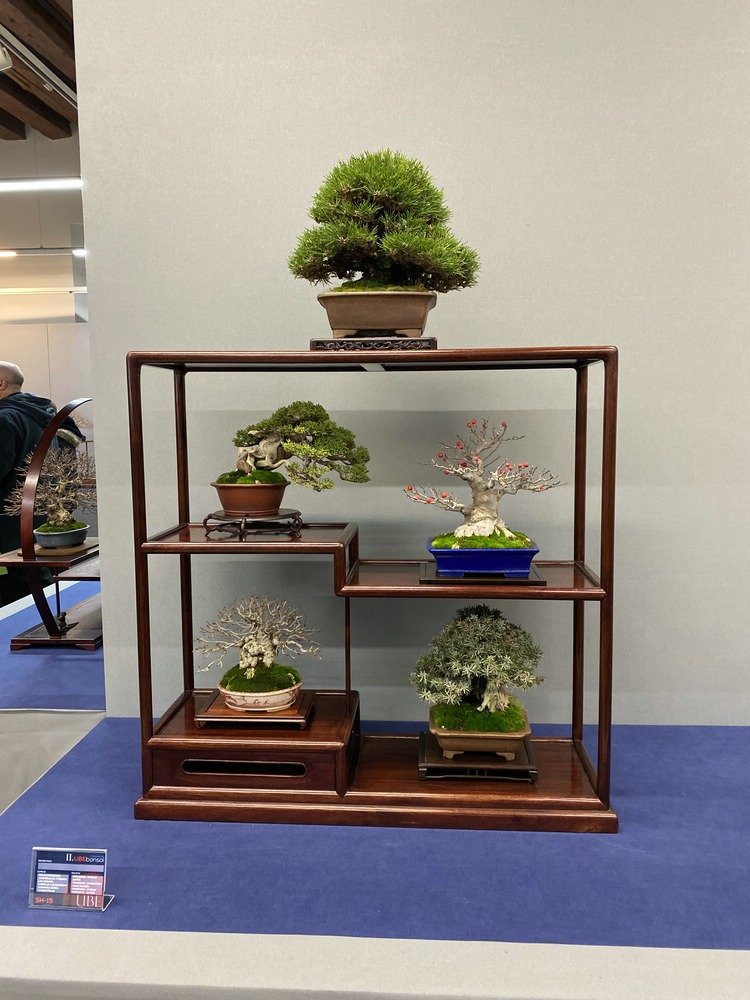 2.UBE Shohin_9936.jpg