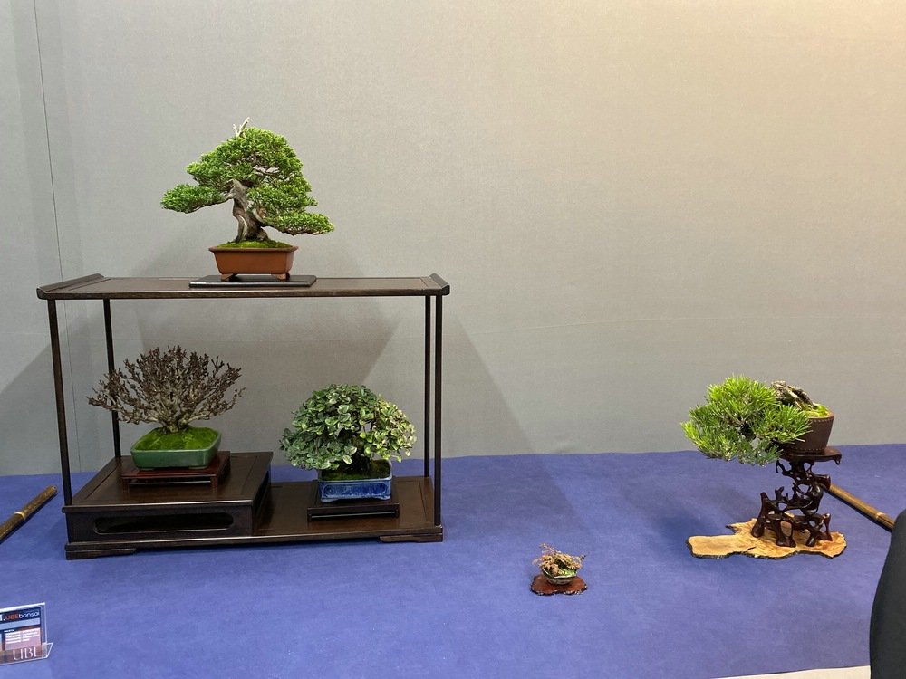 2.UBE Shohin_9962.jpg