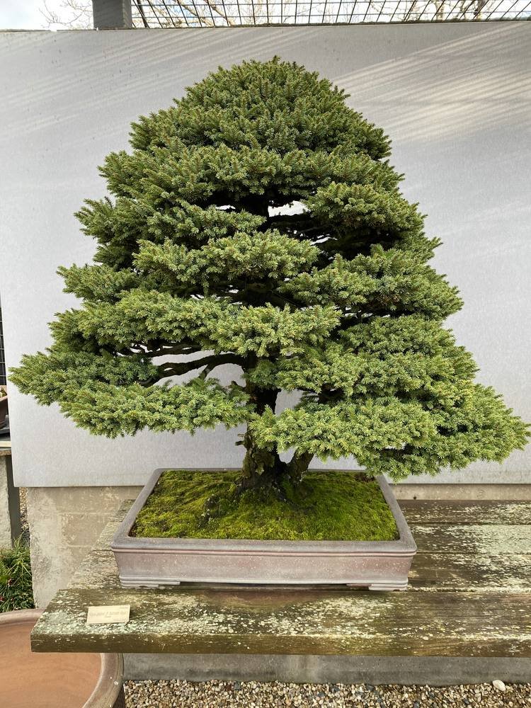 MBA 0253.jpg