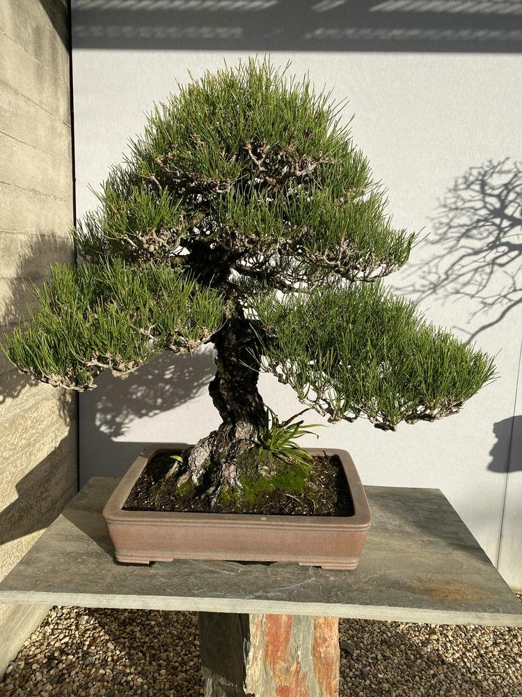 MBA 0258.jpg