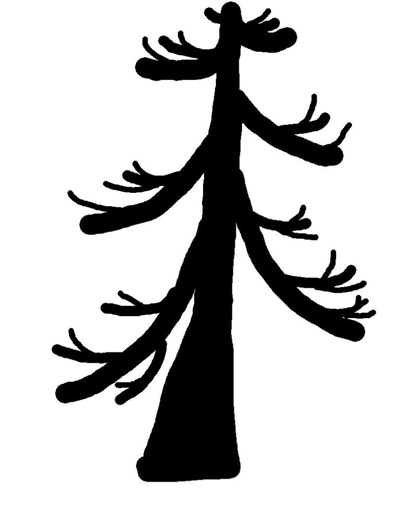 lärchenhabitus.jpg