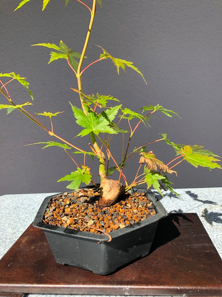 15. Sept 2019