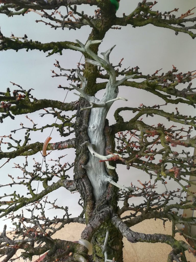 Larix totholz detail.jpg
