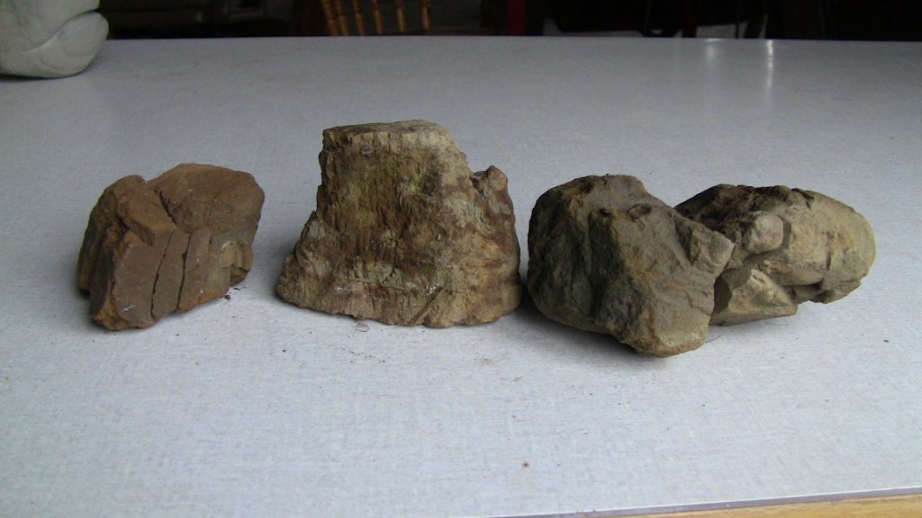 2020-03-05 12.13.38.jpg