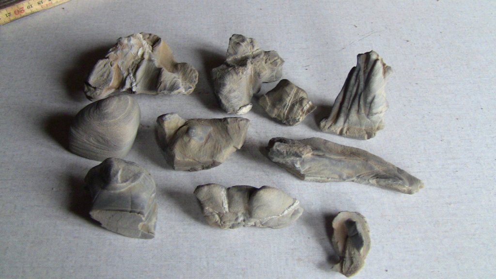 2020-03-05 14.28.22.jpg