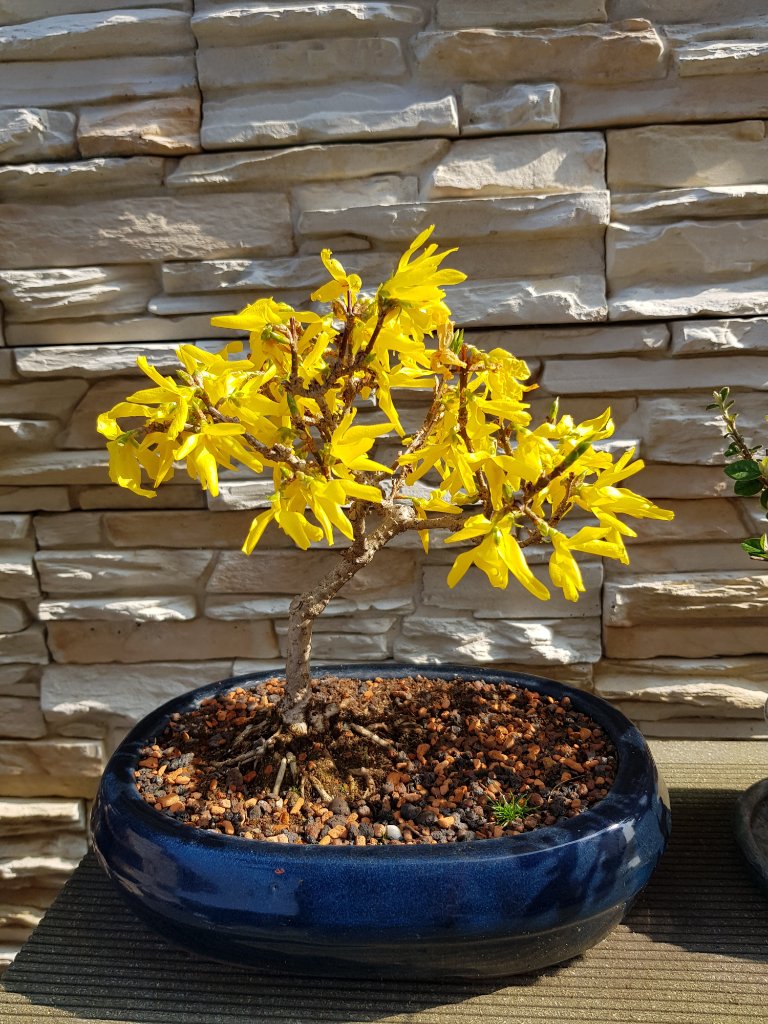 20190331_153227_1.jpg