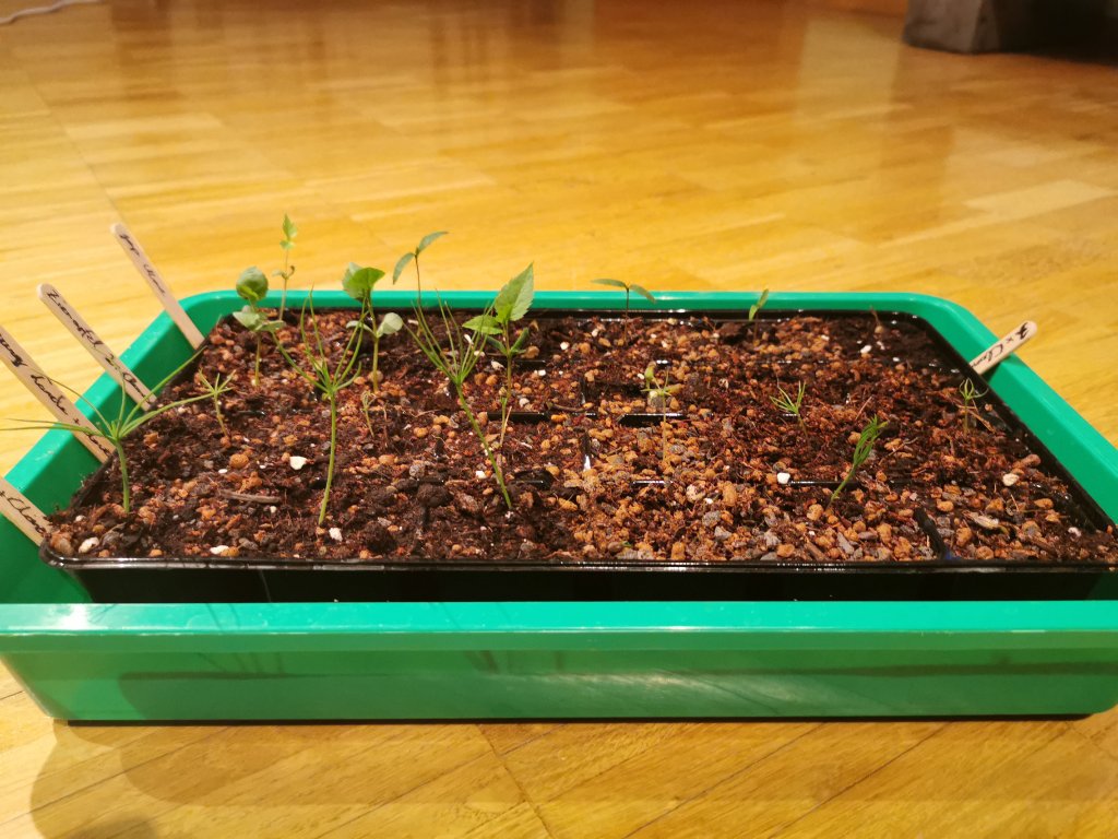 18.03.2020.jpg