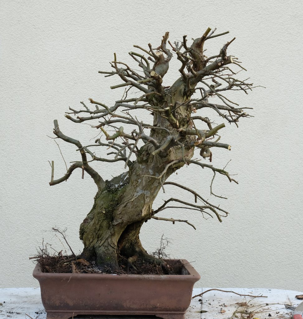 DSCF1018.jpg