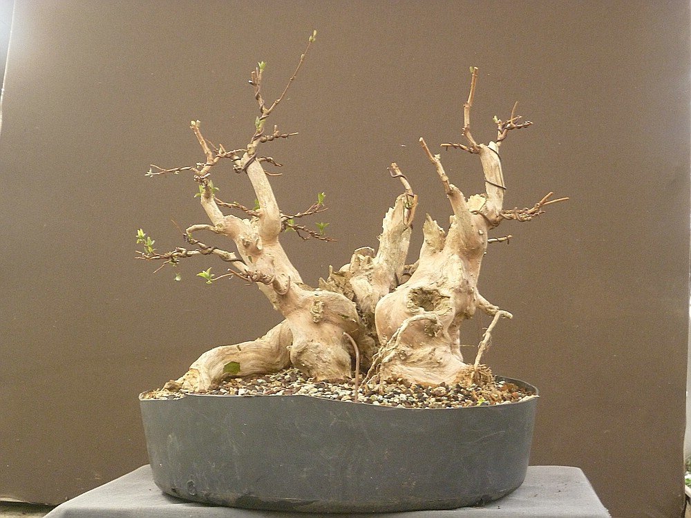 comp_221.03 (53).jpg