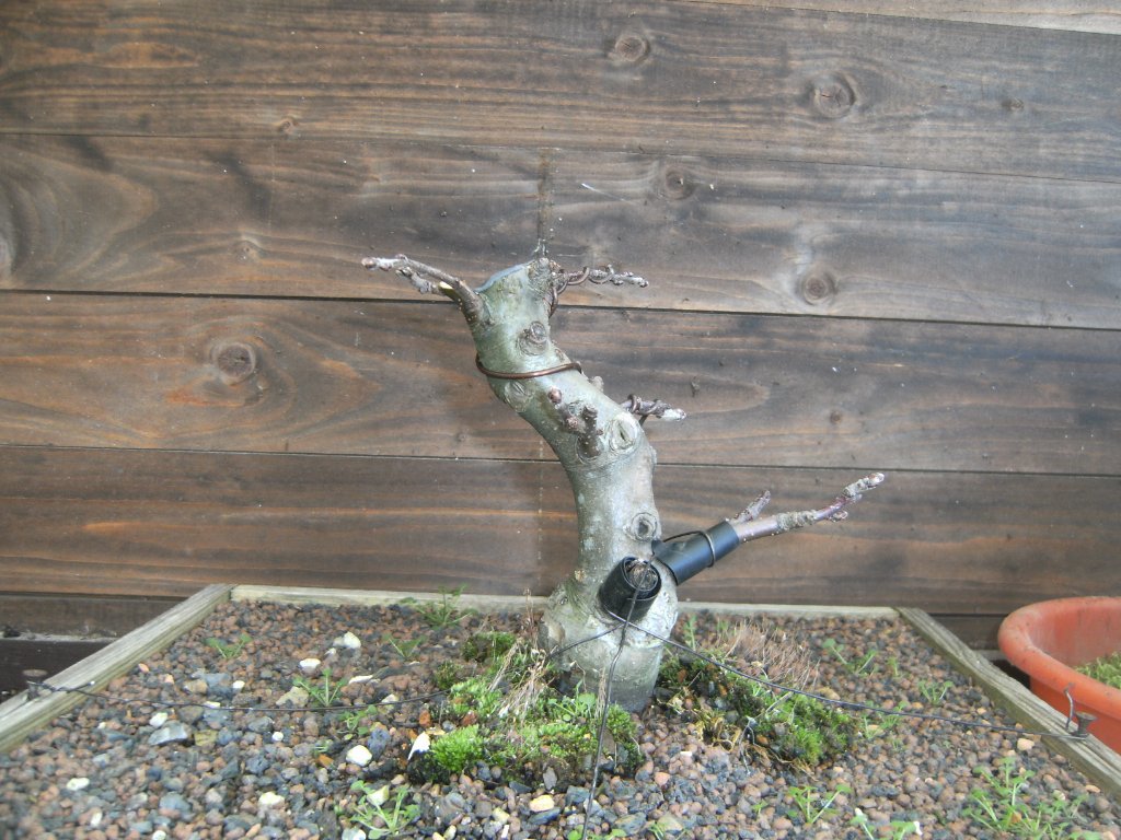 PICT3751.JPG