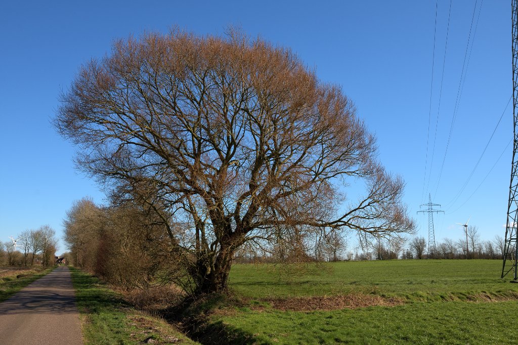 AB7_1085.jpg