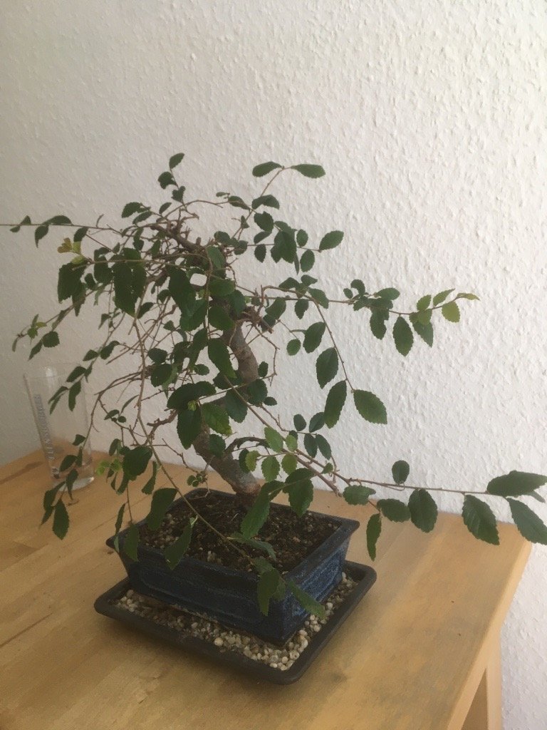 Bild 2.jpg