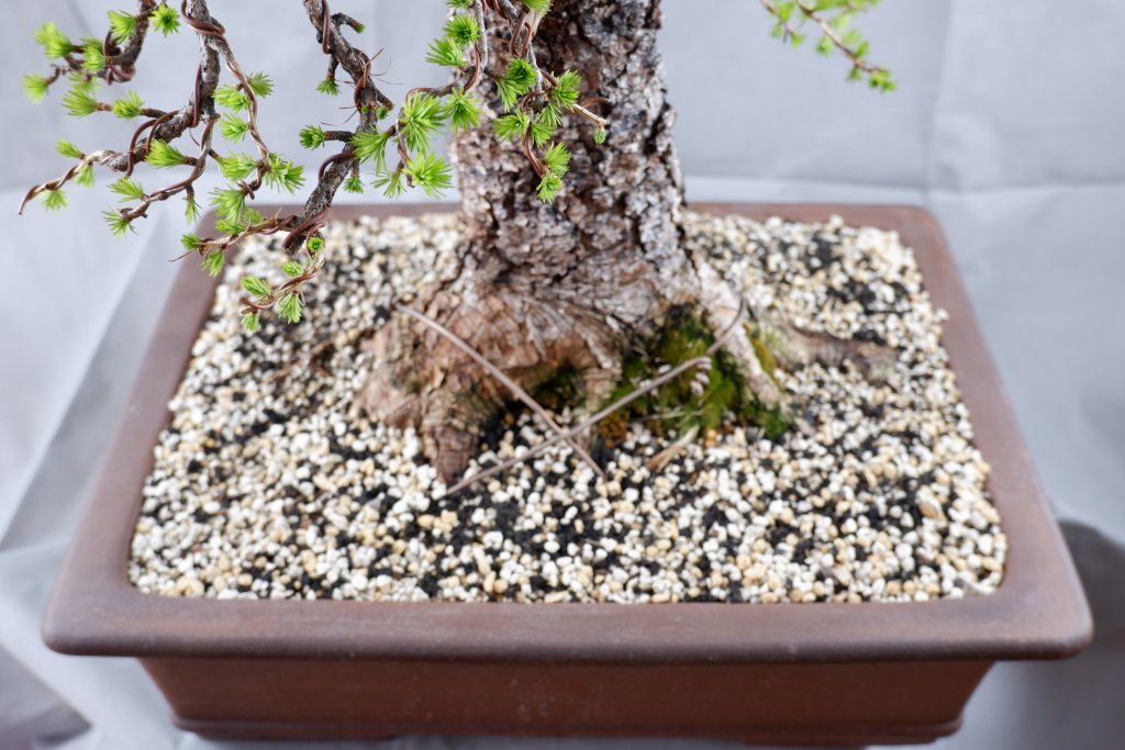 DSCF6081.JPG