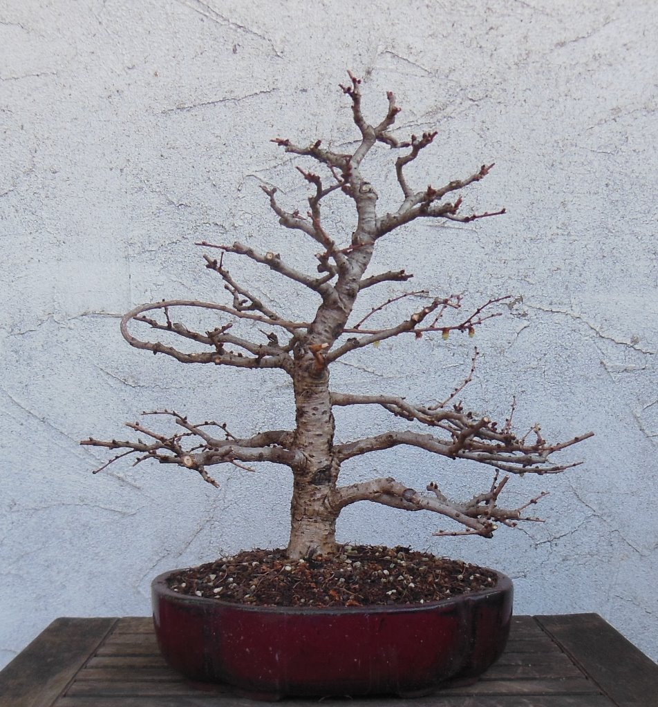 DSCN1146.JPG