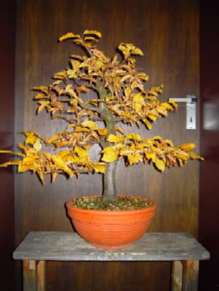 PICT08811.JPG