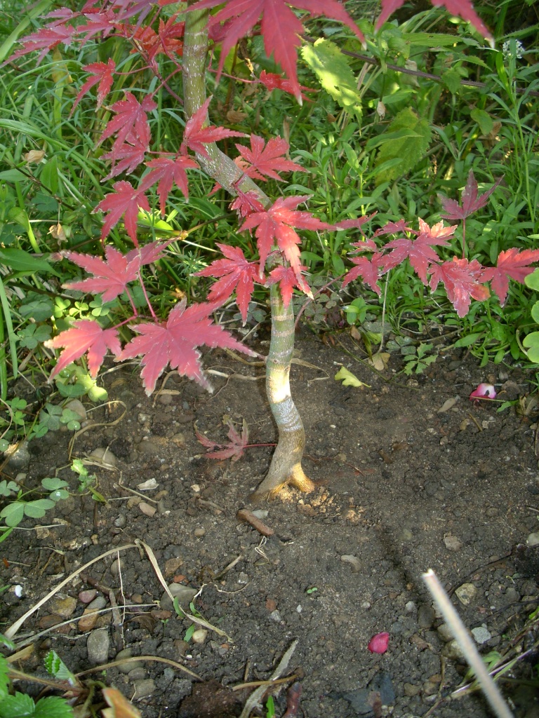 11 2011.JPG