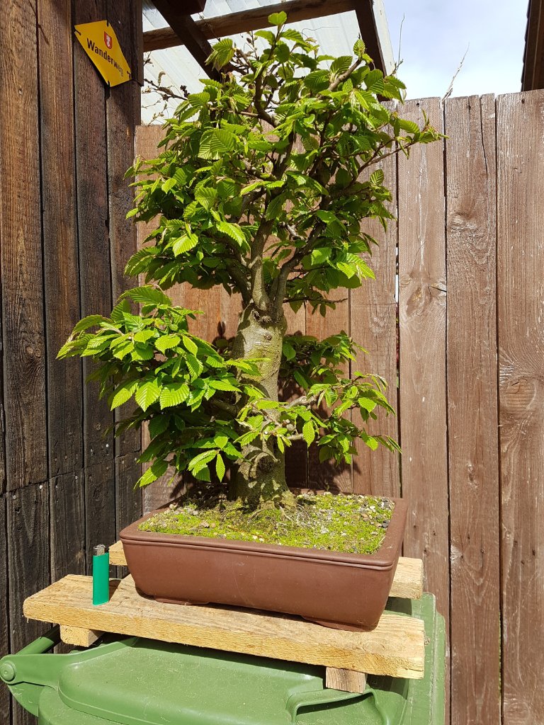 2020-04-21 15.36.26.jpg