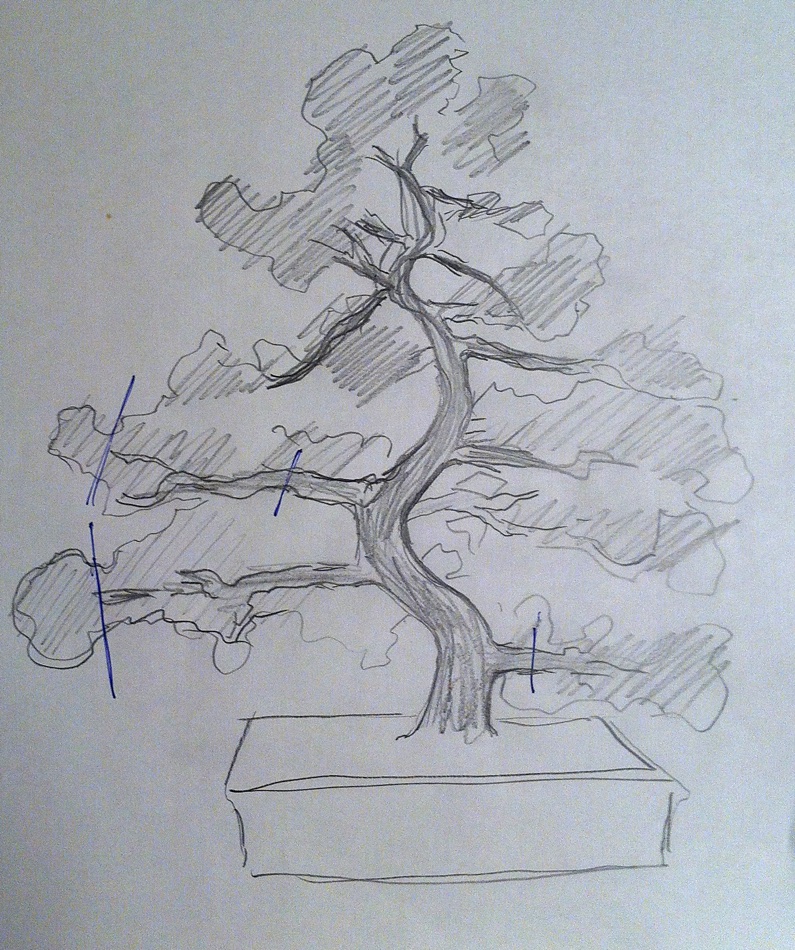 sketch1a.jpg
