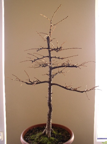 march 2005
<br />before working on it