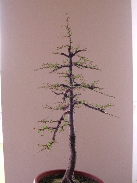 april 2005
<br />right side