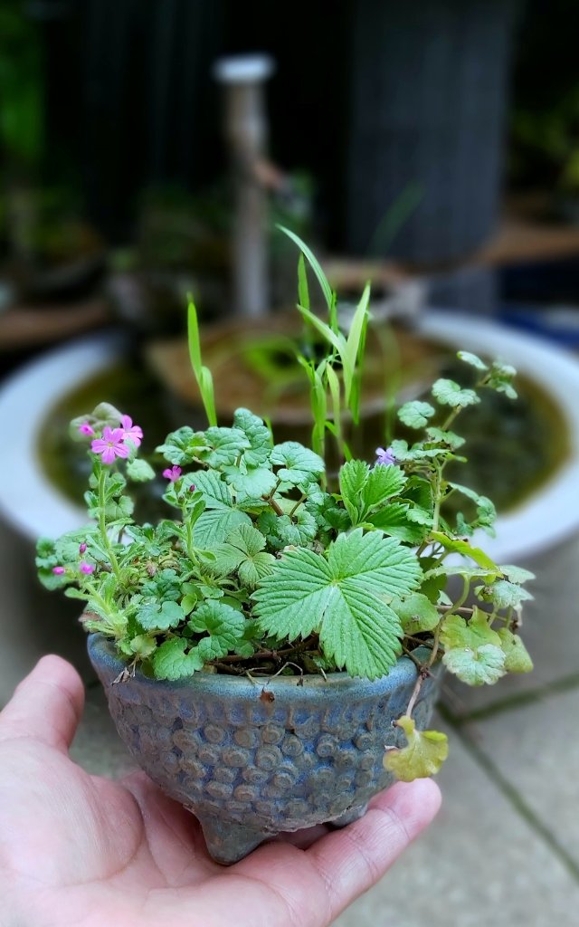 Kusamono