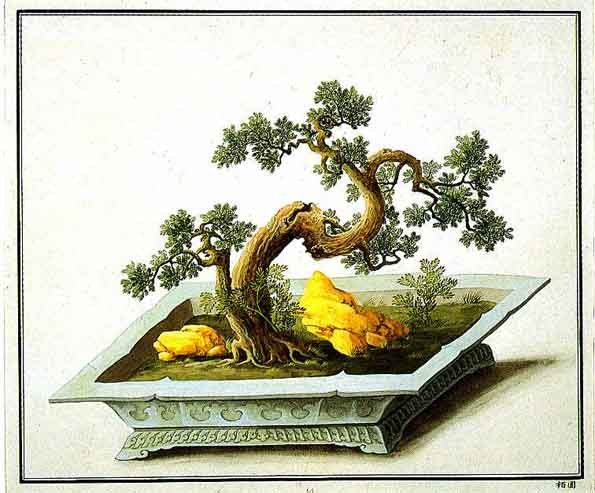 gotha-penjing10101.jpg