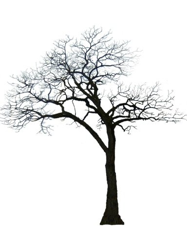 anne2_608.jpg