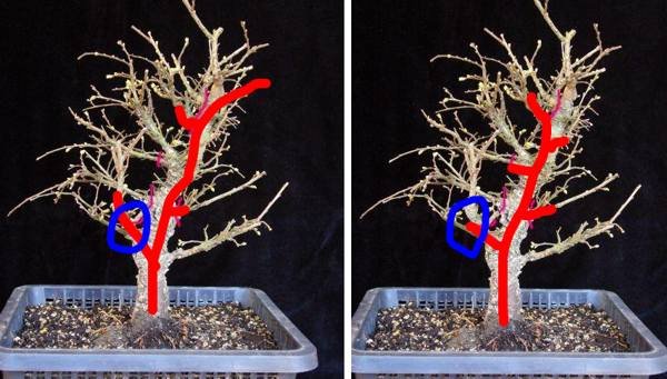 gest8.jpg
