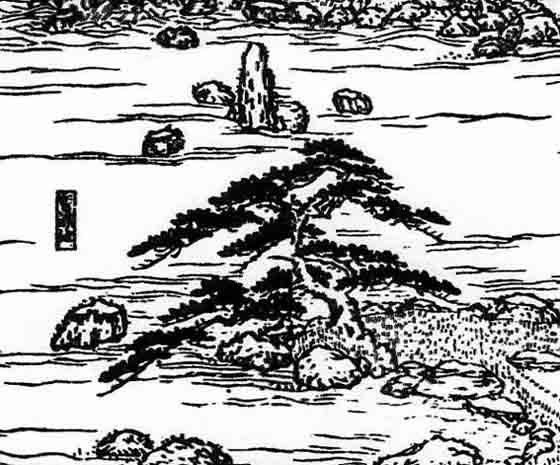 tenryuji0146.jpg