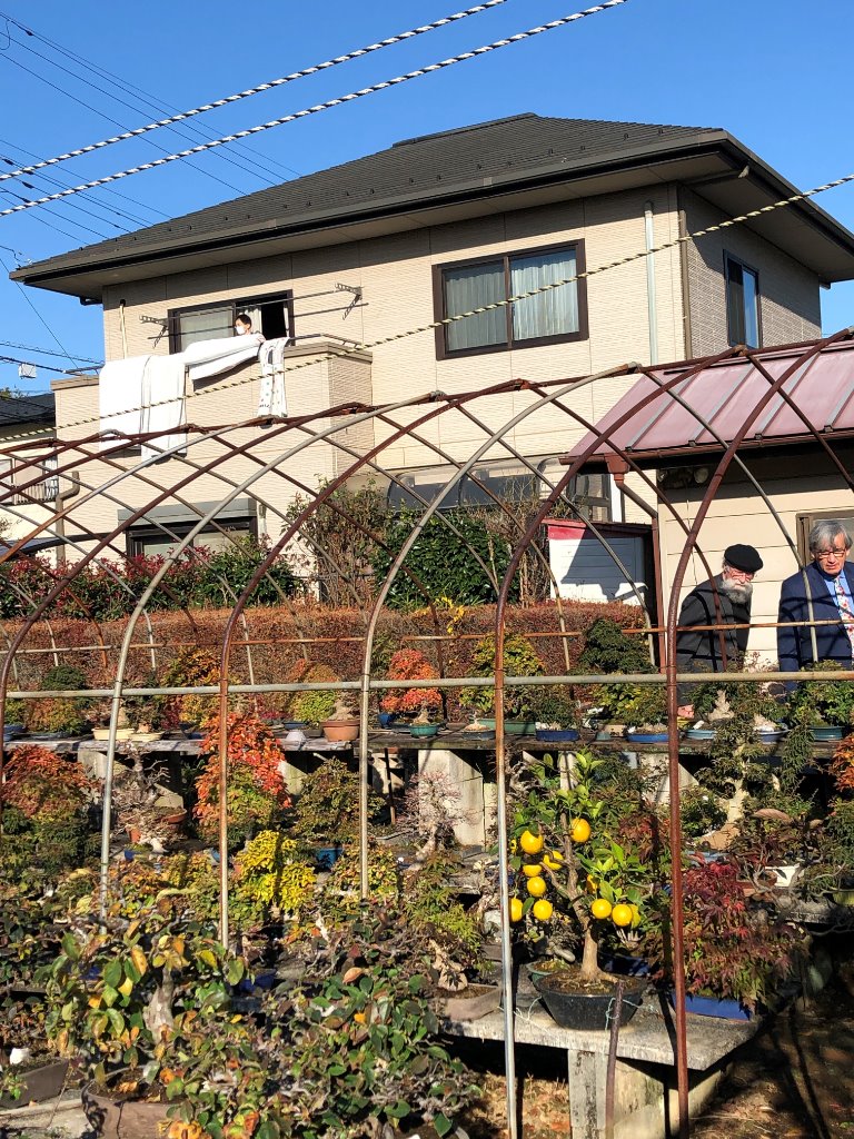 Garten von Hr, Kinoshita mit Diro und Harald, November 2019