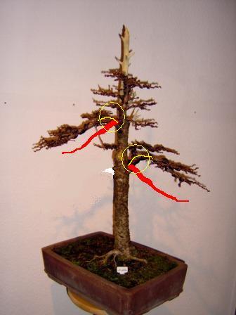 l_rche1205gedrahtet.jpg