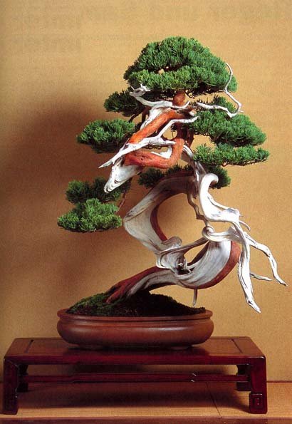 kawabe0167_kopie_173.jpg
