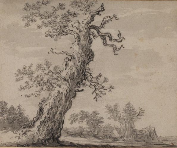 vangoyen4.jpg