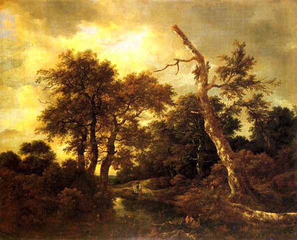 ruisdael050209.jpg