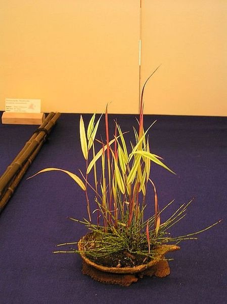 neue_bilder_837476_653.jpg
