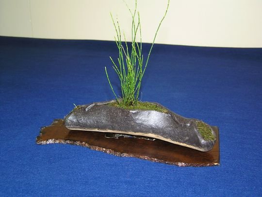 neue_bilder_838993_gv.jpg
