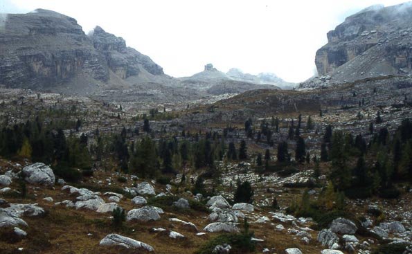 d0130.jpg
