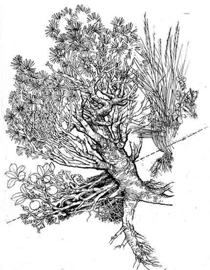 d0142.jpg
