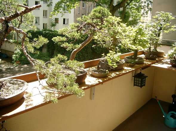 balkon_efunke.jpg