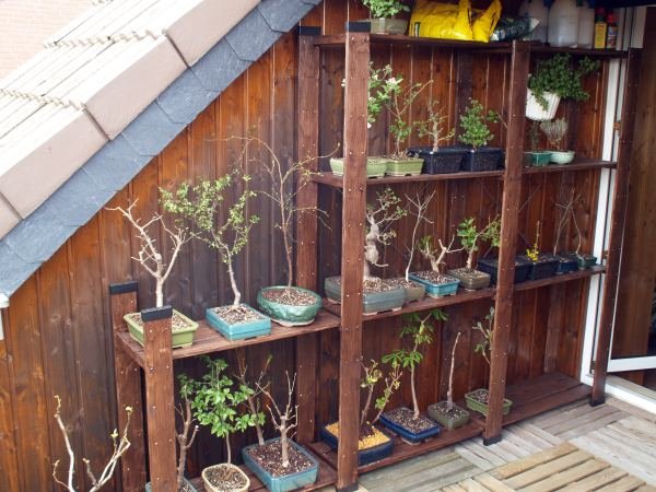 balkon_holger.jpg