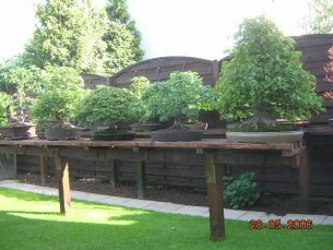 garten_bmschreiner.jpg