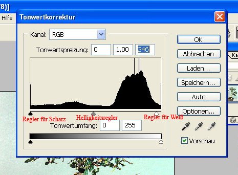 tonwertkorrektur.jpeg