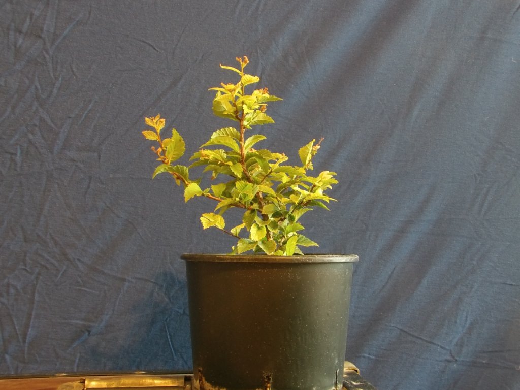 2011 - 05.JPG