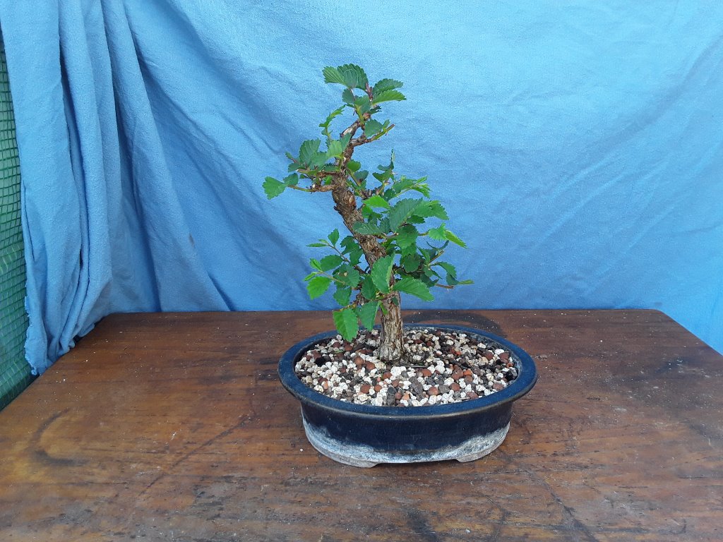 2019 - 04.jpg