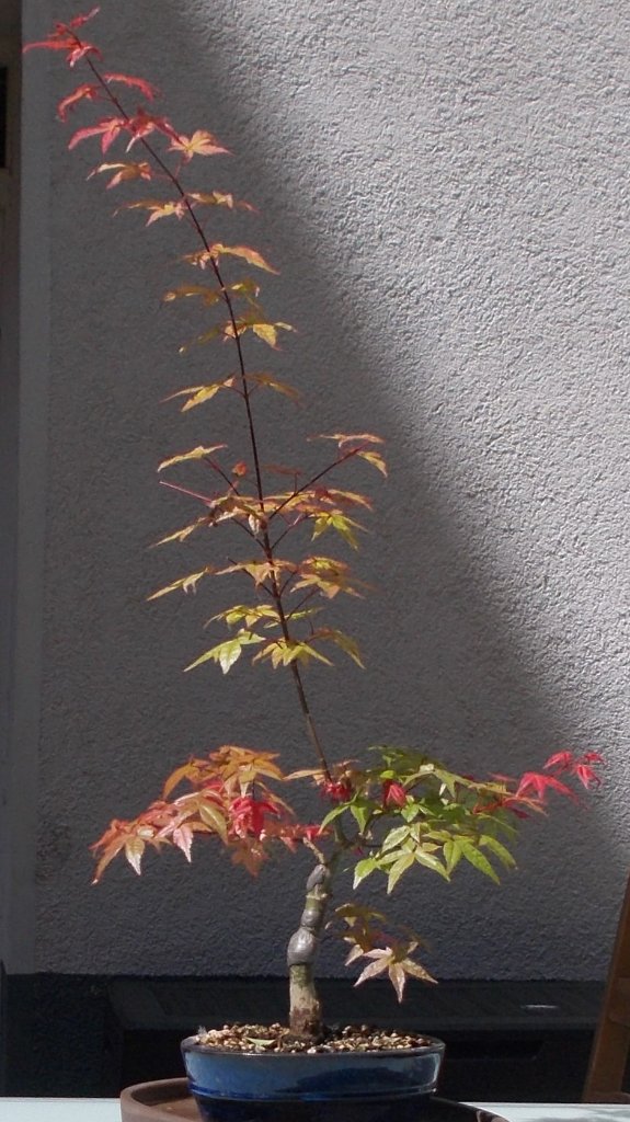 2019 - 06 1.JPG