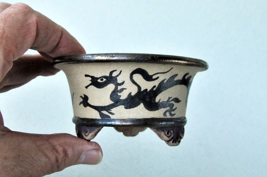 k-054 rund Drachentattoo f.jpg