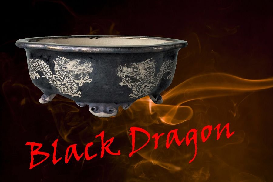 k-068 2004 schwarze Drachen a.jpg